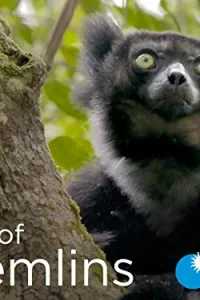 Земля гремлинов (2015) онлайн